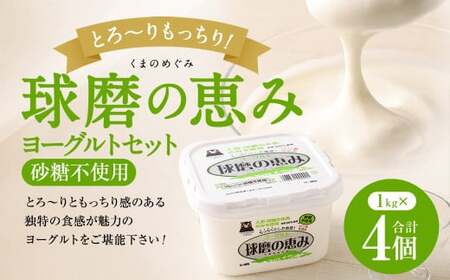 とろ～り食感!!球磨の恵みヨーグルト 砂糖不使用タイプ 1kg×4パック