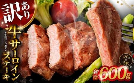 y󂠂z T[CXe[L iHj v600g i120g×5j P A  T[C Xe[L   Ⓚ