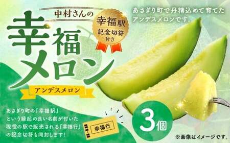 中村さんの幸福メロン(アンデスメロン) 3個 メロン 果物 フルーツ 常温 熊本県 あさぎり町 [2026年4月下旬〜5月上旬まで発送予定]