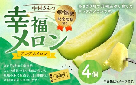 中村さんの幸福メロン(アンデスメロン)4個 メロン 果物 フルーツ 常温 熊本県 あさぎり町 [2026年4月下旬〜5月上旬まで発送予定]