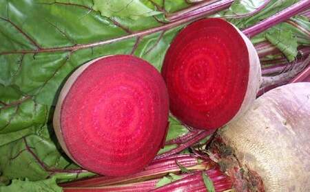 自社農園栽培 生ビーツ1kg ビーツ やさい 野菜 健康 美容 冷蔵 国産 九州 熊本県 あさぎり町