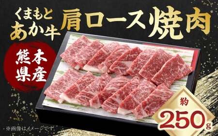くまもとあか牛 肩ロース 焼肉 約250g あか牛 お肉 牛肉 赤身 焼き肉 料理 冷凍 熊本県産 国産 九州 熊本県 あさぎり町