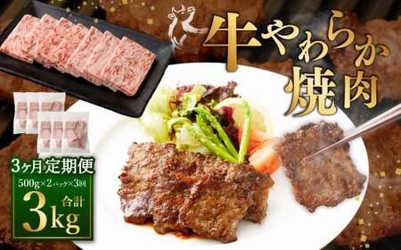 [定期便3回] 牛やわらか焼肉 / 1回あたり:500g×2パック 計1kg / 焼肉 焼き肉 牛 肉牛 冷凍 熊本県 あさぎり町