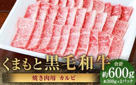 くまもと黒毛和牛 焼き肉用カルビ 計約600g(約300g×2パック) 黒毛和牛 和牛 牛肉 牛 肉 にく ニク お肉 焼肉 焼き肉 カルビ 黒毛和牛 和牛 牛肉 牛 肉 にく ニク お肉 焼肉 焼き肉 カルビ