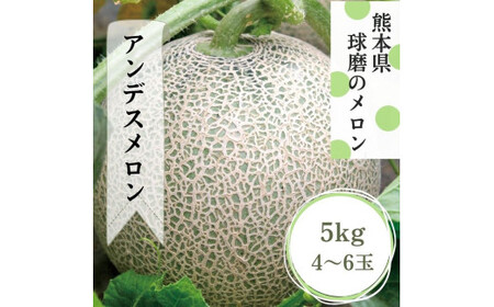 熊本県JAくま産 アンデスメロン5kg(4玉〜6玉) [先行受付][発送時期:2026年5月上旬〜5月下旬]