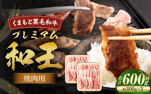くまもと黒毛和牛プレミアム和王 焼肉用 ( バラもしくは肩ロース ) 約600g ( 約300g × 2 ) 黒毛和牛 焼肉 霜降り 旨み 肩ロース バラ お肉 ニク にく 肉 牛肉 牛 国産 熊本県産 くまもと 和牛 プレミアム 和王 冷凍