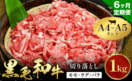 【6ヶ月定期便】黒毛和牛 切り落とし 小分け 1kg 定期便 A4～A5ランク 田中畜産 《お申込み翌月に出荷予定》 熊本県 苓北町 ミシュラン ビブグルマン 国産 肉 牛肉 黒毛 和牛 赤身 カレー 肉じゃが 牛丼 生姜焼き 炒めもの 煮込み 便利 使い勝手抜群 天草 産地直送