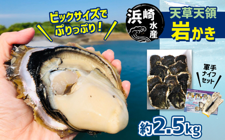 浜崎水産の天草天領岩かき 約2.5kg |  牡蠣 岩牡蠣 カキ 牡蠣 岩牡蠣 カキ 牡蠣 岩牡蠣 カキ 牡蠣 岩牡蠣 カキ 牡蠣 岩牡蠣 カキ 牡蠣 岩牡蠣 カキ 牡蠣 岩牡蠣 カキ 牡蠣 岩牡蠣 カキ 牡蠣 岩牡蠣 カキ 牡蠣 岩牡蠣 カキ 牡蠣 岩牡蠣 カキ 牡蠣 岩牡蠣 カキ 牡蠣 岩牡蠣 カキ 牡蠣 岩牡蠣 カキ 牡蠣 岩牡蠣 カキ 牡蠣 岩牡蠣 カキ 牡蠣 岩牡蠣 カキ 牡蠣 岩牡蠣 カキ 牡蠣 岩牡蠣 カキ 牡蠣 岩牡蠣 カキ 牡蠣 岩牡蠣 カキ 牡蠣 岩牡蠣 カキ 牡蠣 岩牡蠣 カキ 牡蠣 岩牡蠣 カキ 牡蠣 岩牡蠣 カキ 牡蠣 岩牡蠣 カキ 牡蠣 岩牡蠣 カキ 牡蠣 岩牡蠣 カキ 牡蠣 岩牡蠣 カキ 牡蠣 岩牡蠣 カキ 牡蠣 岩牡蠣 カキ 牡蠣 岩牡蠣 カキ 牡蠣 岩牡蠣 カキ 牡蠣 岩牡蠣 カキ 牡蠣 岩牡蠣 カキ 牡蠣 岩牡蠣 カキ 牡蠣 岩牡蠣 カキ 牡蠣 岩牡蠣 カキ 牡蠣 岩牡蠣 カキ 牡蠣 岩牡蠣 カキ 牡蠣 岩牡蠣 カキ 牡蠣 岩牡蠣 カキ 牡蠣 岩牡蠣 カキ 牡蠣 岩牡蠣 カキ 牡蠣 岩牡蠣 カキ 牡蠣 岩牡蠣 カキ 牡蠣 岩牡蠣 カキ 牡蠣 岩牡蠣 カキ 牡蠣 岩牡蠣 カキ 牡蠣 岩牡蠣 カキ 牡蠣 岩牡蠣 カキ 牡蠣 岩牡蠣 カキ 牡蠣 岩牡蠣 カキ 牡蠣 岩牡蠣 カキ 牡蠣 岩牡蠣 カキ