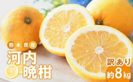 熊本県産 訳あり 河内晩柑 約 8kg 天草果物 フルーツ 柑橘 和製 グレープフルーツ 果物