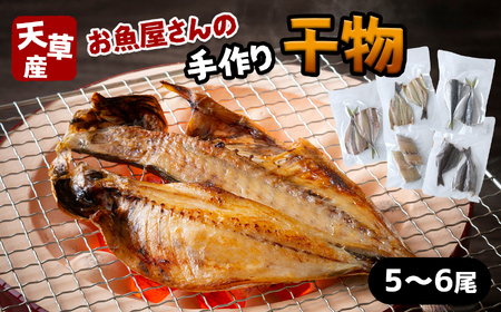 天草産 お魚屋さんの手作り干物セット | 魚 サカナ さかな 干物 ひもの 乾物 加工品 手作り 5尾 〜 6尾 セット 熊本県 苓北町