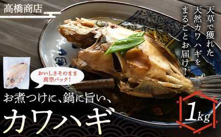 煮つけ 鍋 カワハギ 1kg|魚魚魚 高橋商店