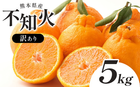 [訳あり ] 熊本県産 不知火 5kg ( デコポン と同品種 ) 