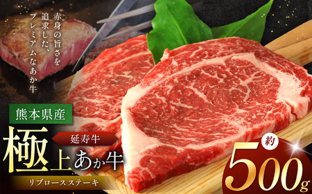 熊本県産 あか牛 「-延寿牛-」 リブロース ステーキ 約500g | 肉 にく お肉 おにく 牛肉 熊本県 苓北町