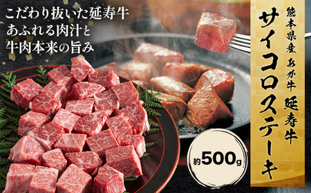 F{Y  u--v TCR Xe[L 500g ЃGCgs30ȓɏoח\(yj)tF{ k   Xe[L TCRXe[Lyzsn悠z