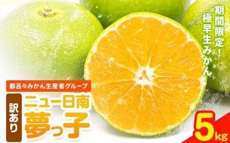 [先行予約]訳あり 極早生みかん ニュー日南「夢っ子」5kg|みかんみかんみかん都呂々