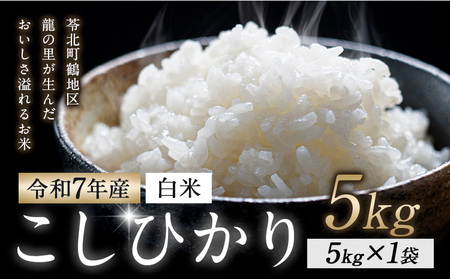 ߘa7NY RVqJs30ȓɏoח\(yj)t  5kg ߒn