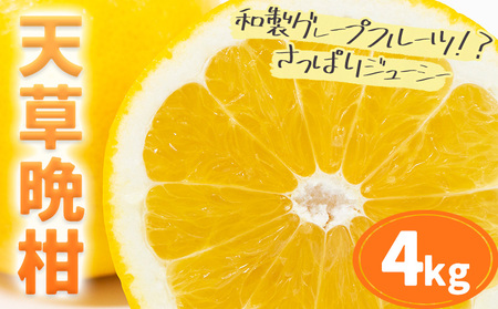 ys\zVӊ 4kgs2026N3{-5{oׁtsCX݂