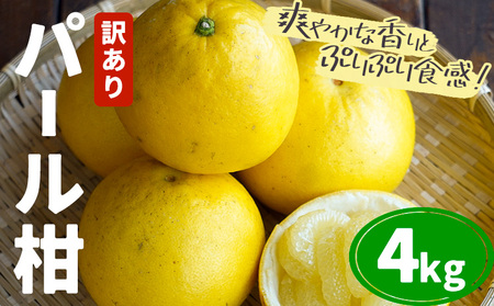 [先行予約]訳あり パール柑 4kg|柑橘柑橘柑橘都呂々
