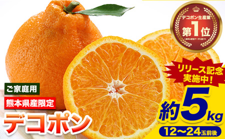 fR| ƒp 5kg  󂠂 fR| s2026N2{-4oׁt