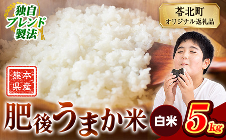肥後うまか米 熊本県産ブレンド米約5kg(白米) 熊本県産 ふるさと納税 白米 精米 米 こめ コメ お米 おこめ[9月下旬-11月上旬頃出荷]