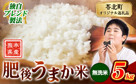 肥後うまか米 熊本県産ブレンド米約5kg(無洗米) 熊本県産 ふるさと納税 無洗米 精米 米 こめ コメ お米 おこめ[9月下旬-11月上旬頃出荷]