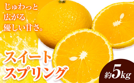 [先行予約] みかん スイートスプリング 5kg 高橋商店[11月下旬-2月中旬頃出荷]熊本県 苓北町 柑橘 かんきつ 果物 フルーツ 送料無料 スイート スプリング