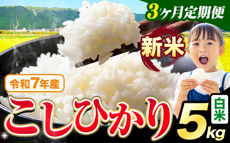 [3ヶ月定期便] 令和7年産 新米 こしひかり 5kg 定期便[お申込み月の翌月から出荷開始]熊本県産 ふるさと納税 白米 精米 ひの 米 こめ ふるさとのうぜい コシヒカリ コメ お米 おこめ