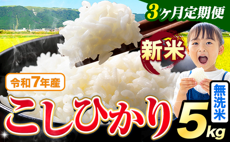 [3ヶ月定期便]令和7年産 新米 こしひかり 5kg 定期便[お申込み月の翌月から出荷開始]熊本県産 ふるさと納税 無洗米 精米 ひの 米 こめ ふるさとのうぜい コシヒカリ コメ お米 おこめ