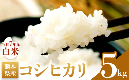   RVqJ ߘa7NY 5kg Xc_s9{-10{oׁt F{ k   R F{Y Ђ RVqJ  V