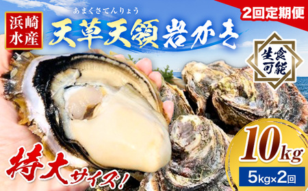 s\ ӂ邳Ɣ[őLO y JL VV ₩    5kg 2s2026N5oׁtCN CY V[t[h L  ≲y ĉy Hp F{ k