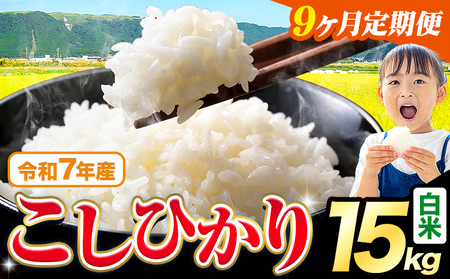 �y9��������ցz�ߘa7�N�Y �V�� ���� �����Ђ��� 15kg