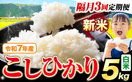 �y�u��3�����ցz�ߘa7�N�Y �V�� ���� �����Ђ��� 5kg