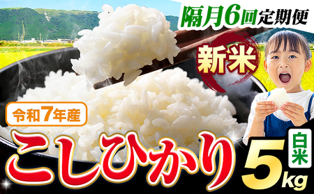 �y�u��6�����ցz�ߘa7�N�Y �V�� ���� �����Ђ��� 5kg