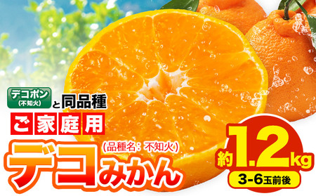 sm fR݂ ( fR| Ɠi ) ƒp 󂠂 F{Y ( kY܂ )1.2kg(3-6ʑO) k s2026N2{-3oׁt ݂ t[c sm A ł݂ ʕ