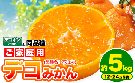 sm fR݂ ( fR| Ɠi ) ƒp 󂠂 F{Y ( kY܂ )5kg (12-24ʑO) k s2026N2{-3oׁt ݂ t[c sm A ł݂ ʕ