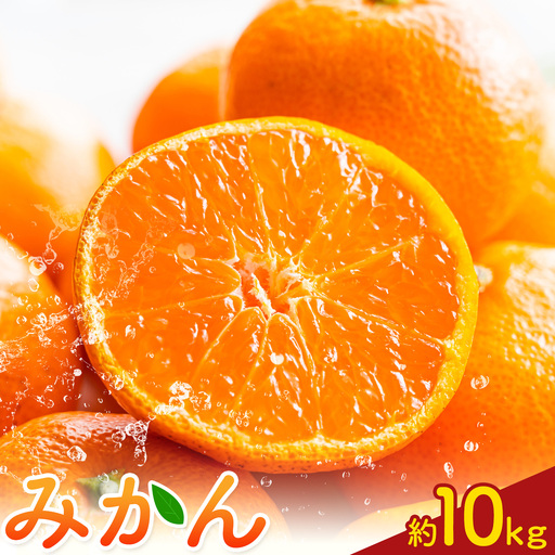 みかん10kg 高橋商店《10月下旬-1月中旬頃出荷》