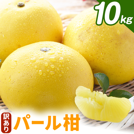 【2027年先行予約】訳あり パール柑 10kg みかん ミカン フルーツ 天草 苓北《2027年3月上旬-4月中旬頃出荷予定》都呂々みかん