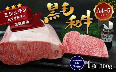 熊本県産 黒毛和牛 サーロインステーキ 1枚 ステーキソース付 | ステーキ 牛肉