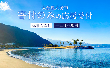 大分県大分市 返礼品なし(寄附のみの受付となります) 一口1,000円