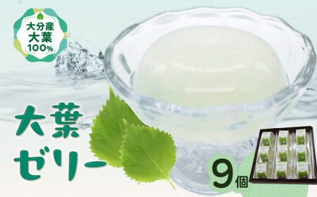 J05009-S [お中元ギフト]大葉ゼリー 9個入り[7/1〜8/8の期間にお届け]