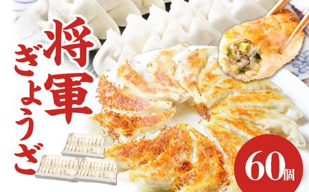 餃子専門店の餃子 将軍餃子 60個