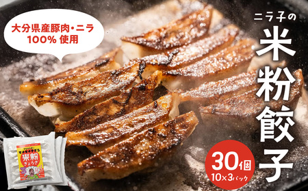 マジでうまい!モチモチすぎるニラ子の米粉ぎょうざ 大分県産豚肉・にら100%使用(ニラ醤油タレ付) 10個入り3パック
