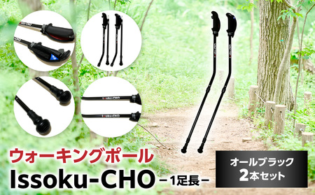 ウォーキング Issoku-CHO(1足長) オールブラック 2本セット