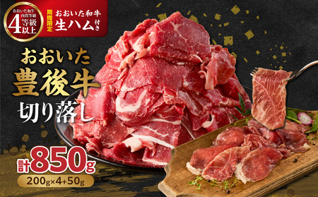 yԌzL㋍؂藎 200g×4P{an 50g×1P