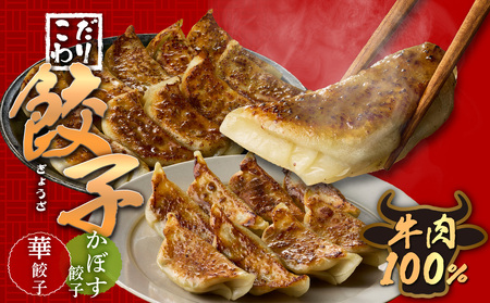 華永餃子セットD(華×2、かぼす×1) 計34個