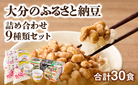 大分のふるさと納豆 詰め合わせ9種類セット