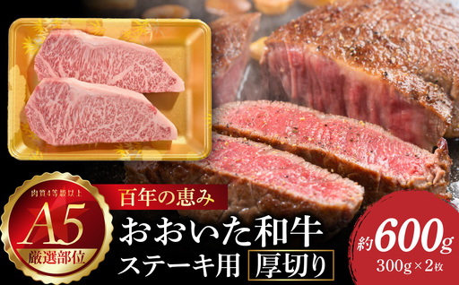 [父の日ギフト] 百年の恵み おおいた和牛A5 ステーキ用厚切り[厳選部位]約600g ≪6月21日お届け≫ A01104-C