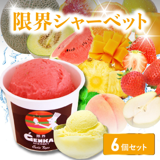 [父の日ギフト] 限界シャーベット 6個セット ≪6月21日お届け≫ J06018-C