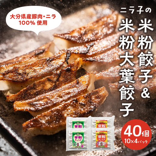 大分特産！グルテンフリーのニラと大葉の米粉餃子 A02038