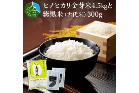 ヒノヒカリ金芽米4.5kgと紫黒米(古代米)300g